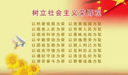 娱乐圈吃瓜有感,揭秘明星背后的真相与八卦